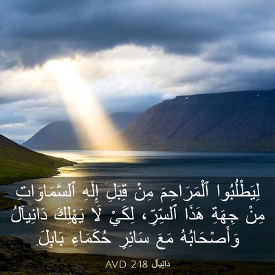 Picture 03 - دَانِيآل 2:18 AVD - لِيَطْلُبُوا ٱلْمَرَاحِمَ - Bible Verse Picture