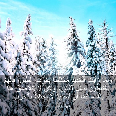 Picture 03 - دَانِيآل 2:43 AVD - وَبِمَا رَأَيْتَ - Bible Verse Picture
