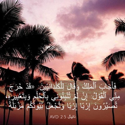 Picture 03 - دَانِيآل 2:5 AVD - فَأَجَابَ ٱلْمَلِكُ - Bible Verse Picture