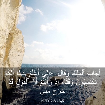 Picture 03 - دَانِيآل 2:8 AVD - أَجَابَ ٱلْمَلِكُ وَقَالَ: - Bible Verse Picture