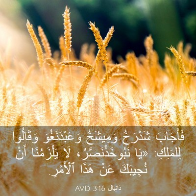 Picture 03 - دَانِيآل 3:16 AVD - فَأَجَابَ شَدْرَخُ - Bible Verse Picture