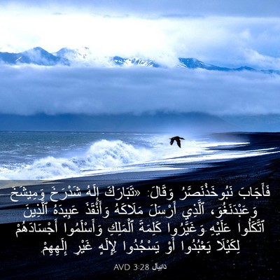 Picture 03 - دَانِيآل 3:28 AVD - فَأَجَابَ - Bible Verse Picture