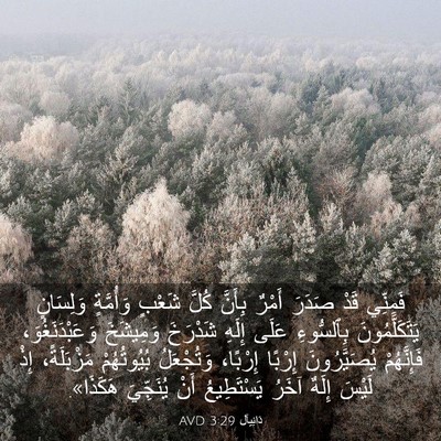 Picture 03 - دَانِيآل 3:29 AVD - فَمِنِّي قَدْ صَدَرَ - Bible Verse Picture
