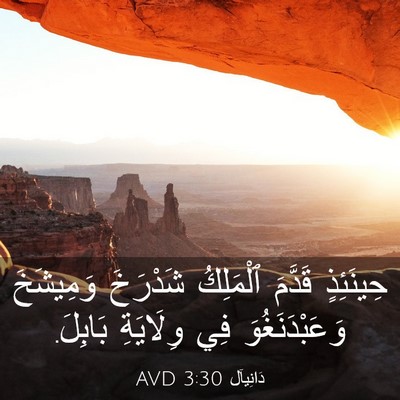 Picture 03 - دَانِيآل 3:30 AVD - حِينَئِذٍ قَدَّمَ - Bible Verse Picture