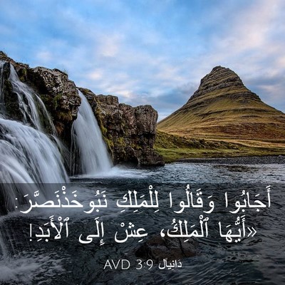 Picture 03 - دَانِيآل 3:9 AVD - أَجَابُوا وَقَالُوا - Bible Verse Picture