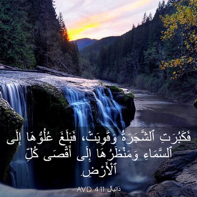 Picture 03 - دَانِيآل 4:11 AVD - فَكَبُرَتِ ٱلشَّجَرَةُ - Bible Verse Picture