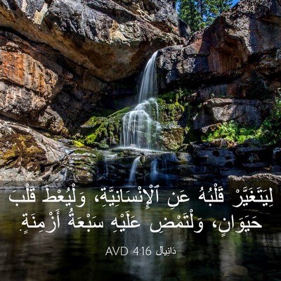 Picture 03 - دَانِيآل 4:16 AVD - لِيَتَغَيَّرْ قَلْبُهُ - Bible Verse Picture