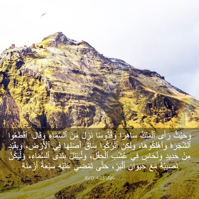 Picture 03 - دَانِيآل 4:23 AVD - وَحَيْثُ رَأَى ٱلْمَلِكُ - Bible Verse Picture