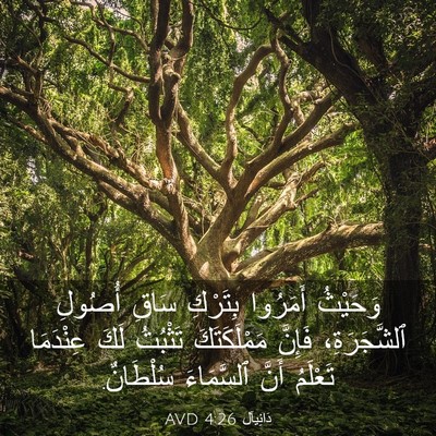 Picture 03 - دَانِيآل 4:26 AVD - وَحَيْثُ أَمَرُوا - Bible Verse Picture