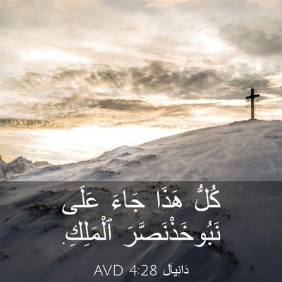 Picture 03 - دَانِيآل 4:28 AVD - كُلُّ هَذَا جَاءَ عَلَى - Bible Verse Picture