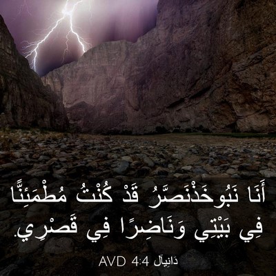 Picture 03 - دَانِيآل 4:4 AVD - أَنَا نَبُوخَذْنَصَّرُ - Bible Verse Picture