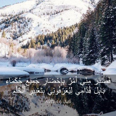 Picture 03 - دَانِيآل 4:6 AVD - فَصَدَرَ مِنِّي أَمْرٌ - Bible Verse Picture