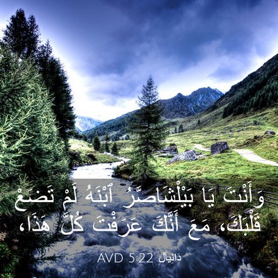 Picture 03 - دَانِيآل 5:22 AVD - وَأَنْتَ يَا - Bible Verse Picture