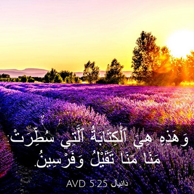 Picture 03 - دَانِيآل 5:25 AVD - وَهَذِهِ هِيَ - Bible Verse Picture