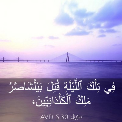 Picture 03 - دَانِيآل 5:30 AVD - فِي تِلْكَ ٱللَّيْلَةِ - Bible Verse Picture