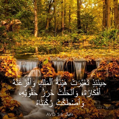 Picture 03 - دَانِيآل 5:6 AVD - حِينَئِذٍ تَغَيَّرَتْ - Bible Verse Picture