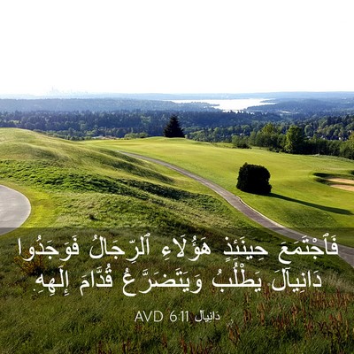 Picture 03 - دَانِيآل 6:11 AVD - فَٱجْتَمَعَ حِينَئِذٍ - Bible Verse Picture