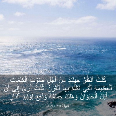 Picture 03 - دَانِيآل 7:11 AVD - كُنْتُ أَنْظُرُ حِينَئِذٍ - Bible Verse Picture