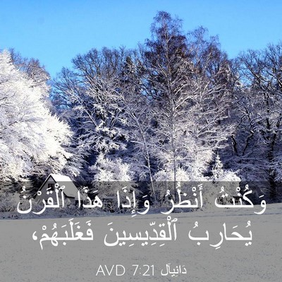 Picture 03 - دَانِيآل 7:21 AVD - وَكُنْتُ أَنْظُرُ وَإِذَا - Bible Verse Picture