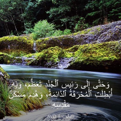 Picture 03 - دَانِيآل 8:11 AVD - وَحَتَّى إِلَى رَئِيسِ - Bible Verse Picture