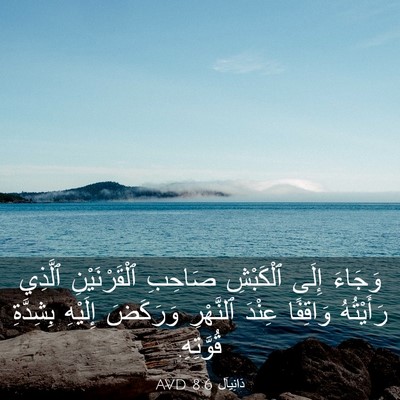 Picture 03 - دَانِيآل 8:6 AVD - وَجَاءَ إِلَى ٱلْكَبْشِ - Bible Verse Picture