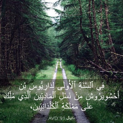 Picture 03 - دَانِيآل 9:1 AVD - فِي ٱلسَّنَةِ ٱلْأُولَى - Bible Verse Picture