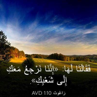 Picture 03 - رَاعُوث 1:10 AVD - فَقَالَتَا لَهَا: - Bible Verse Picture