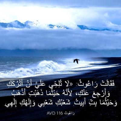 Picture 03 - رَاعُوث 1:16 AVD - فَقَالَتْ رَاعُوثُ: «لَا - Bible Verse Picture