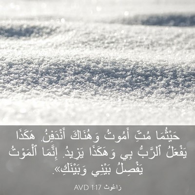 Picture 03 - رَاعُوث 1:17 AVD - حَيْثُمَا مُتِّ أَمُوتُ - Bible Verse Picture