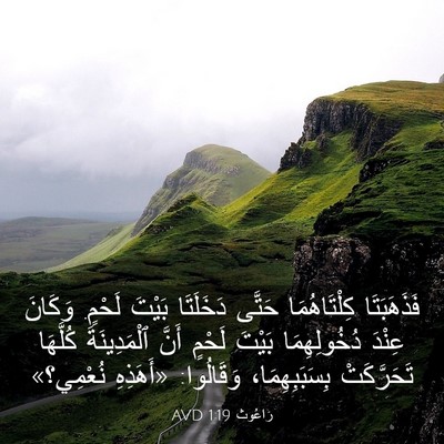 Picture 03 - رَاعُوث 1:19 AVD - فَذَهَبَتَا كِلْتَاهُمَا - Bible Verse Picture