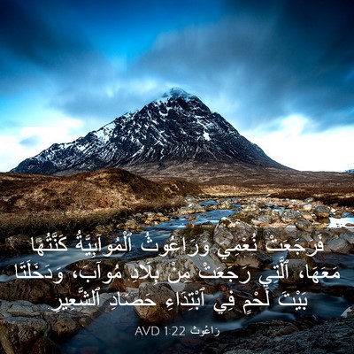 Picture 03 - رَاعُوث 1:22 AVD - فَرَجَعَتْ نُعْمِيَ - Bible Verse Picture