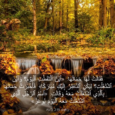 Picture 03 - رَاعُوث 2:19 AVD - فَقَالَتْ لَهَا - Bible Verse Picture