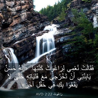 Picture 03 - رَاعُوث 2:22 AVD - فَقَالَتْ نُعْمِي - Bible Verse Picture