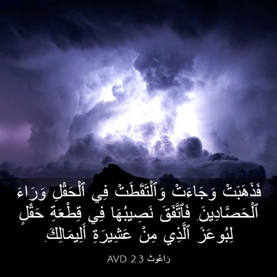 Picture 03 - رَاعُوث 2:3 AVD - فَذَهَبَتْ وَجَاءَتْ - Bible Verse Picture