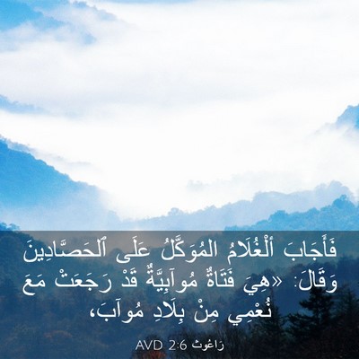 Picture 03 - رَاعُوث 2:6 AVD - فَأَجَابَ ألْغُلَامُ - Bible Verse Picture