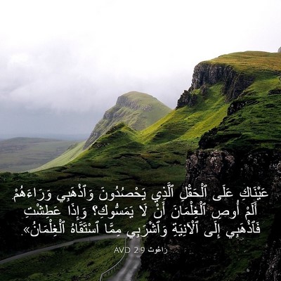 Picture 03 - رَاعُوث 2:9 AVD - عَيْنَاكِ عَلَى ٱلْحَقْلِ - Bible Verse Picture
