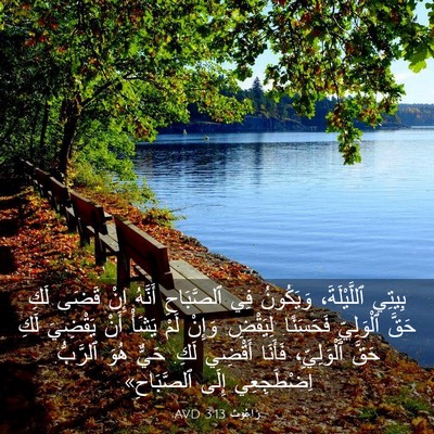 Picture 03 - رَاعُوث 3:13 AVD - بِيتِي ٱللَّيْلَةَ، - Bible Verse Picture