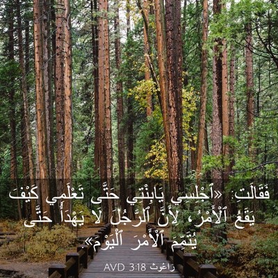 Picture 03 - رَاعُوث 3:18 AVD - فَقَالَتِ: «ٱجْلِسِي - Bible Verse Picture