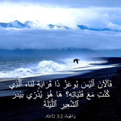 Picture 03 - رَاعُوث 3:2 AVD - فَٱلْآنَ أَلَيْسَ بُوعَزُ - Bible Verse Picture