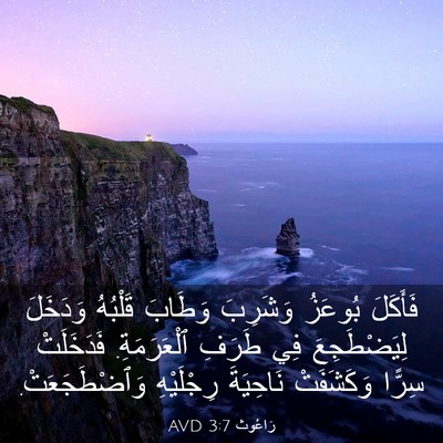 Picture 03 - رَاعُوث 3:7 AVD - فَأَكَلَ بُوعَزُ وَشَرِبَ - Bible Verse Picture