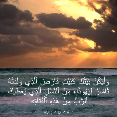 Picture 03 - رَاعُوث 4:12 AVD - وَلْيَكُنْ بَيْتُكَ - Bible Verse Picture