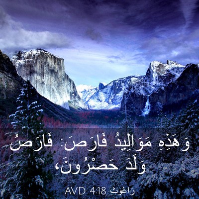 Picture 03 - رَاعُوث 4:18 AVD - وَهَذِهِ مَوَالِيدُ - Bible Verse Picture
