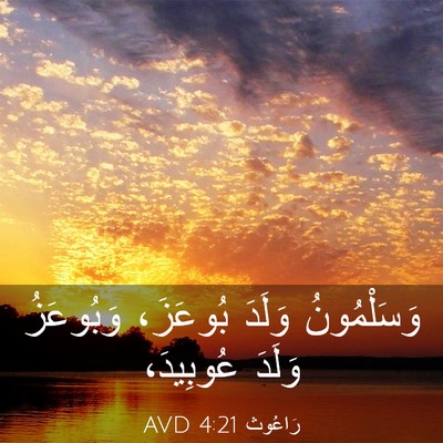 Picture 03 - رَاعُوث 4:21 AVD - وَسَلْمُونُ وَلَدَ - Bible Verse Picture