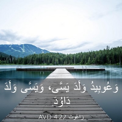 Picture 03 - رَاعُوث 4:22 AVD - وَعُوبِيدُ وَلَدَ يَسَّى، - Bible Verse Picture