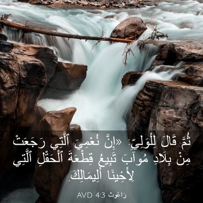 Picture 03 - رَاعُوث 4:3 AVD - ثُمَّ قَالَ لِلْوَلِيِّ: - Bible Verse Picture