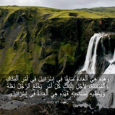 Picture 03 - رَاعُوث 4:7 AVD - وَهَذِهِ هِيَ ٱلْعَادَةُ - Bible Verse Picture