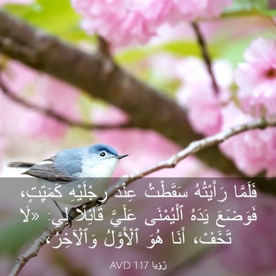 Picture 03 - رُؤيا 1:17 AVD - فَلَمَّا رَأَيْتُهُ - Bible Verse Picture