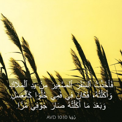 Picture 03 - رُؤيا 10:10 AVD - فَأَخَذْتُ ٱلسِّفْرَ - Bible Verse Picture