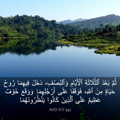 Picture 03 - رُؤيا 11:11 AVD - ثُمَّ بَعْدَ ٱلثَّلَاثَةِ - Bible Verse Picture