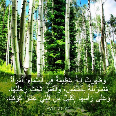 Picture 03 - رُؤيا 12:1 AVD - وَظَهَرَتْ آيَةٌ - Bible Verse Picture